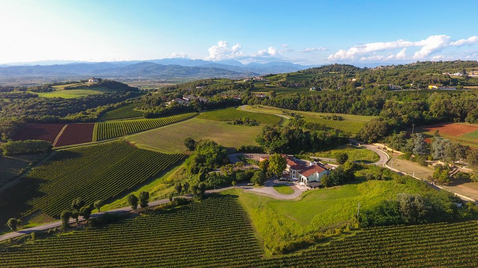 Veduta aerea di una campagna collinare con vigneti a filari, campi coltivati e strade tortuose. In primo piano si vede una cascina con tetto rosso circondata dal verde, con colline boscose e una catena montuosa sullo sfondo.