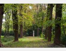 Radura in un bosco con alti alberi decidui e un sentiero erboso ricoperto di foglie. Al centro, in fondo, si vede una statua in pietra su piedistallo circondata da vegetazione.