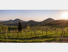 mdanesin_termeogd_1822