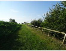 Sentiero erboso in un’area verde, affiancato da una staccionata in legno sulla destra e da vegetazione alta e alberi ai lati. In lontananza si vede una piccola struttura coperta e l’orizzonte sotto un cielo sereno.