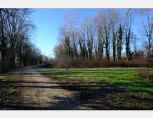 zago-germano-este-2021-oasi-restara-20-6