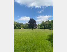 6bfcfcb3-468f-491e-97fe-78ef030f59ba