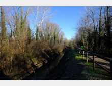 zago-germano-este-2021-oasi-restara-20-7