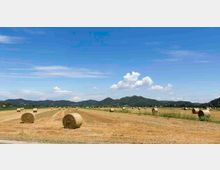 mdanesin_termeogd_2575