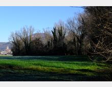 zago-germano-este-2021-oasi-restara-20-3