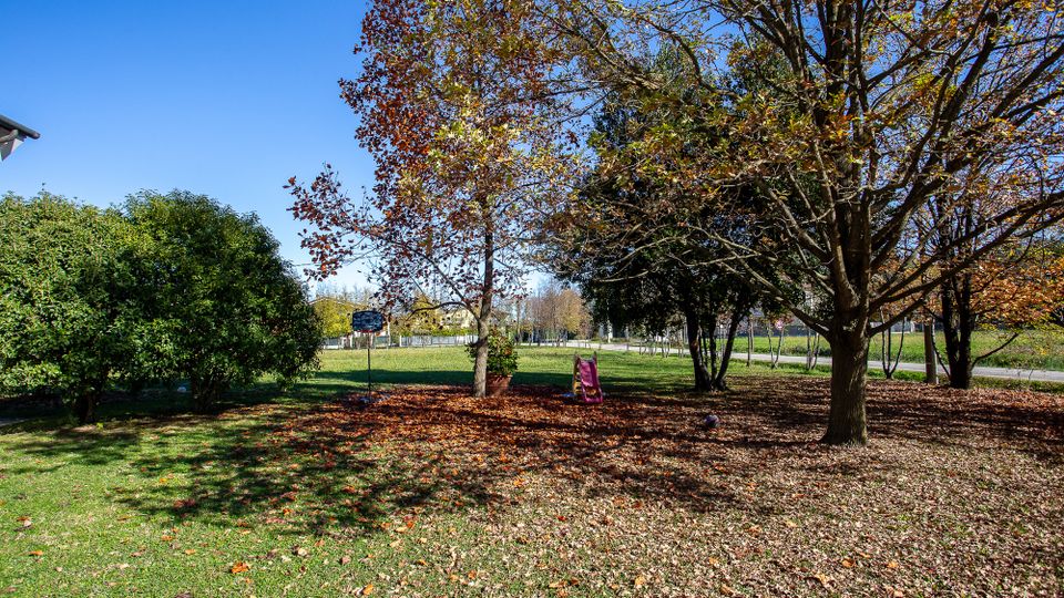 Area verde di un parco con grandi alberi a foglie autunnali e prato coperto di foglie secche. Sullo sfondo si vedono un vialetto e una strada, con un piccolo cartello e un elemento di gioco colorato tra gli alberi.