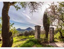 mdanesin_arquaogd_0481