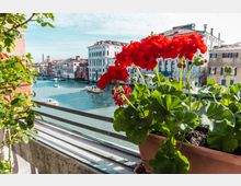 821d26db-515b-40d4-8eba-437eceb7877e