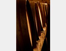 Fila di doghe curve in legno appoggiate su una trave grezza, illuminate da luce calda in un ambiente interno tipo falegnameria o laboratorio. Le superfici mostrano venature e bordi sagomati, con sfondo scuro e sfocato.