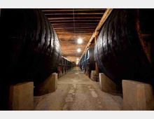 Corridoio di una cantina con grandi botti di legno allineate su entrambi i lati, su supporti in cemento. Soffitto a travi in legno e illuminazione a lampadine lungo il percorso su pavimento in cemento.