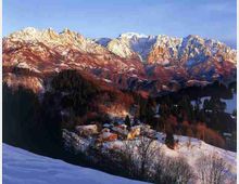 art_3111_1_dinosassi1