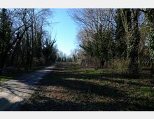 zago-germano-este-2021-oasi-restara-15