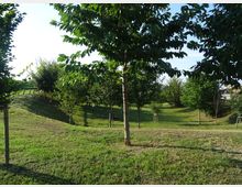 Parco erboso con leggere colline e un’area avvallata, con alberi giovani e maturi disposti lungo i pendii. In mezzo al verde si intravede una panchina e, sullo sfondo, vegetazione fitta e qualche edificio lontano.