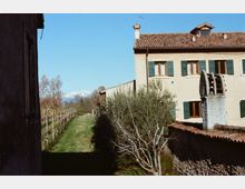 Cortile rurale con filari di vigneto lungo un sentiero erboso, accanto a una casa tradizionale intonacata con persiane verdi e tetto in coppi. In primo piano si vede una ruota di mulino in pietra e sullo sfondo alberi e montagne innevate sotto cielo sereno.
