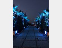 Viale pedonale pavimentato con palme e siepi ai lati, illuminato da luci blu e lampade a terra che creano un corridoio luminoso nella notte. In fondo si intravede un punto luce centrale lungo la prospettiva del percorso.