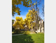 pozzetto-este-giardini10