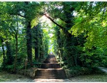 scalinata-primavera-3