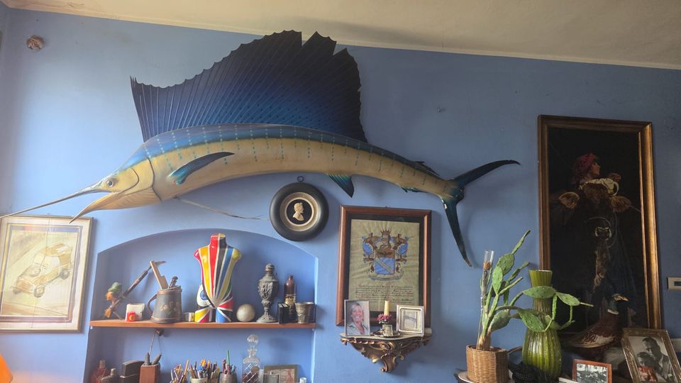 Parete interna dipinta di azzurro con un grande pesce vela tassidermizzato montato in alto e una nicchia con mensole piene di oggetti decorativi, cornici e strumenti. Ai lati si vedono quadri incorniciati, un medaglione al centro e alcune piante in vaso su un mobile.