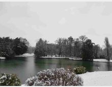 Lago in un parco invernale con sponde innevate e acqua scura e calma. Sullo sfondo si vedono alberi fitti e spogli e cespugli in primo piano coperti di neve.