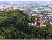 Veduta aerea di una collina boscosa con complessi storici in pietra e torri, circondati da alberi e vigneti. Sullo sfondo si estende una pianura con campi coltivati, aree industriali e un centro abitato.