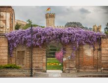 trivellato-giardini-17-02-2020-5