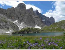 Lago alpino circondato da prati verdi con fiori viola in primo piano, ai piedi di alte pareti rocciose grigie con chiazze di neve. Sullo sfondo cielo azzurro con nuvole sparse.