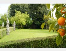 schermata-2021-02-16-alle-11-17-33