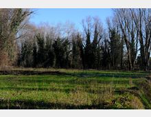 zago-germano-este-2021-oasi-restara-23