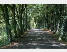 villa-san-liberale-viale-di-cart