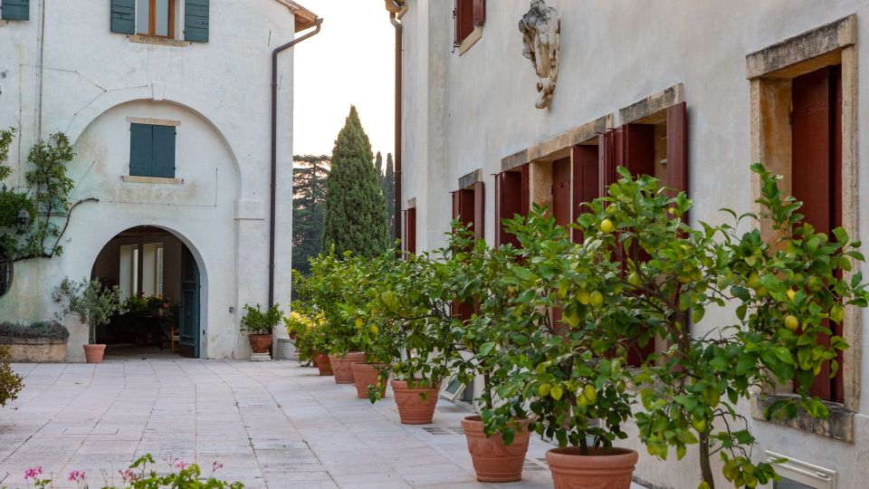 Cortile interno pavimentato tra edifici in intonaco chiaro, con finestre e portoni in legno scuro e un arco d’ingresso sul lato sinistro. Lungo il muro di destra si allineano grandi vasi in terracotta con alberi di agrumi, con cipressi sullo sfondo.