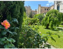 le-rose-del-giardino-gradenigo