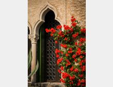 Portale in pietra con arco gotico e colonnina decorata su una facciata in muratura chiara, con porta scura a pannelli circolari. Un cespuglio di rose rosse rampicanti occupa il lato destro dell’ingresso.