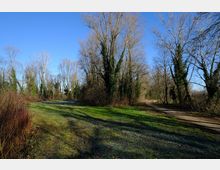 zago-germano-este-2021-oasi-restara-20-5