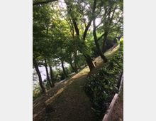 Sentiero forestale leggermente in discesa, circondato da alberi con chioma verde e affiancato da una recinzione di legno e un muretto rivestito di vegetazione. Sullo sfondo si intravede un corso d'acqua tra gli alberi.